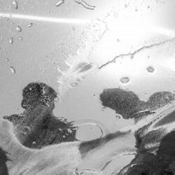 Contato Imediato (Ao Vivo)