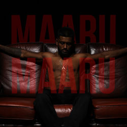 Cover of Maaru Maaru by undefined