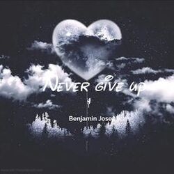 Cover of Never Give Up