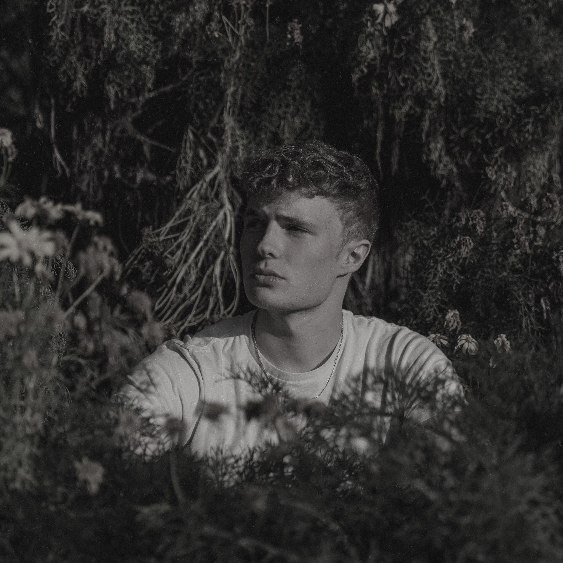 Album cover of All I Ask