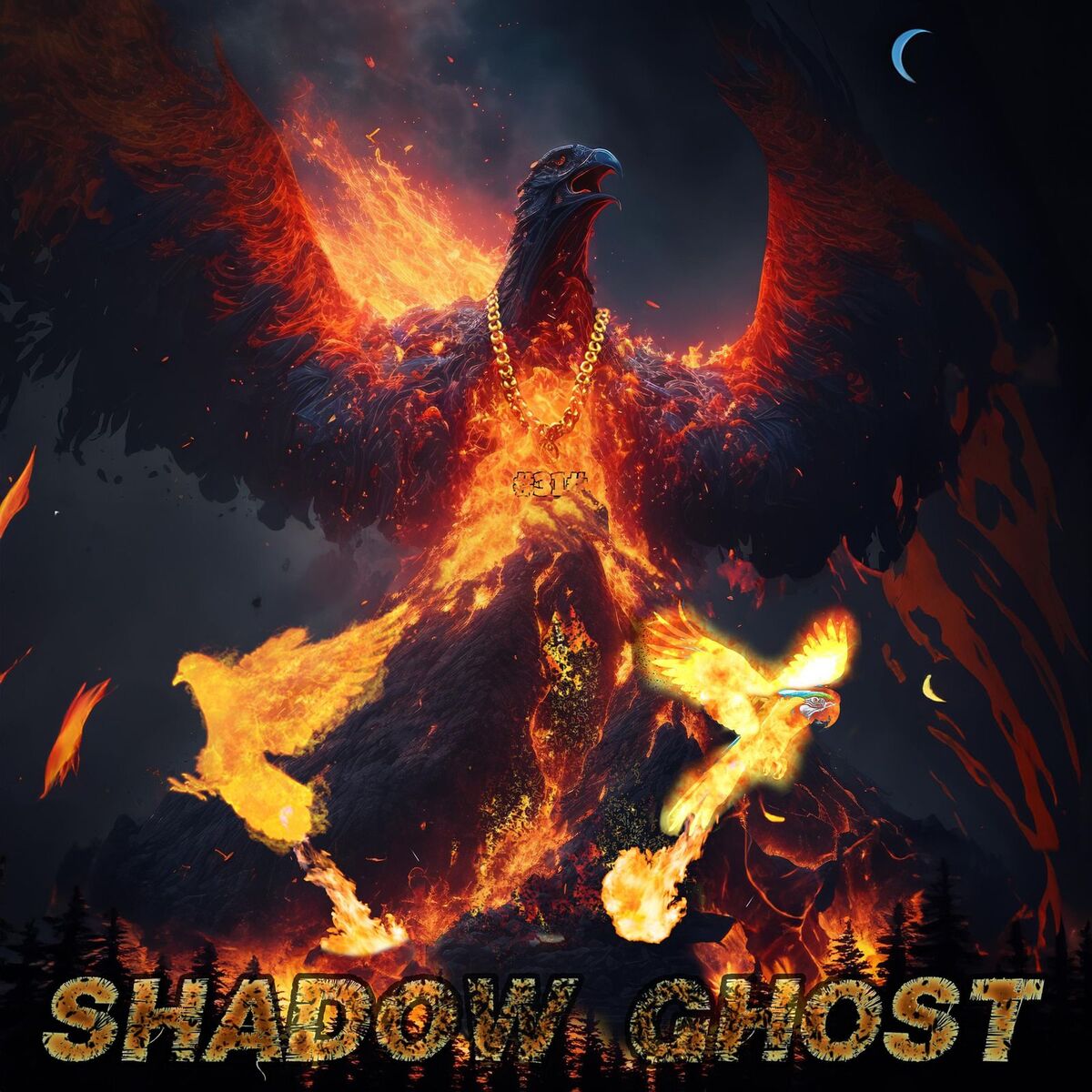 Album cover of SHADOW GHOST