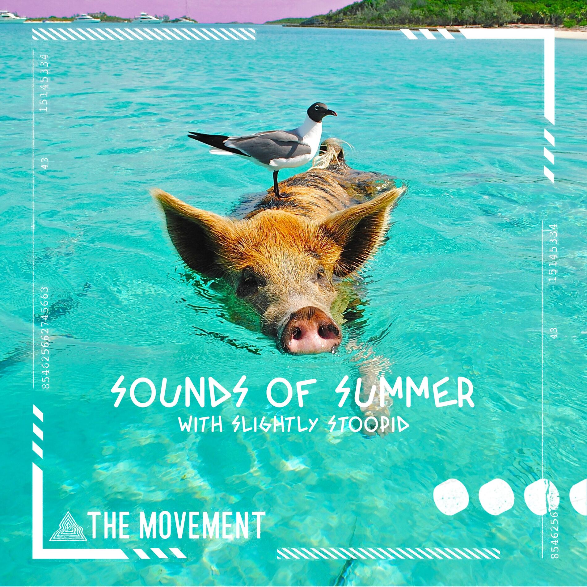 Album cover of Sounds of Summer