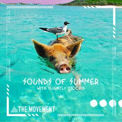 Cover of Sounds Of Summer