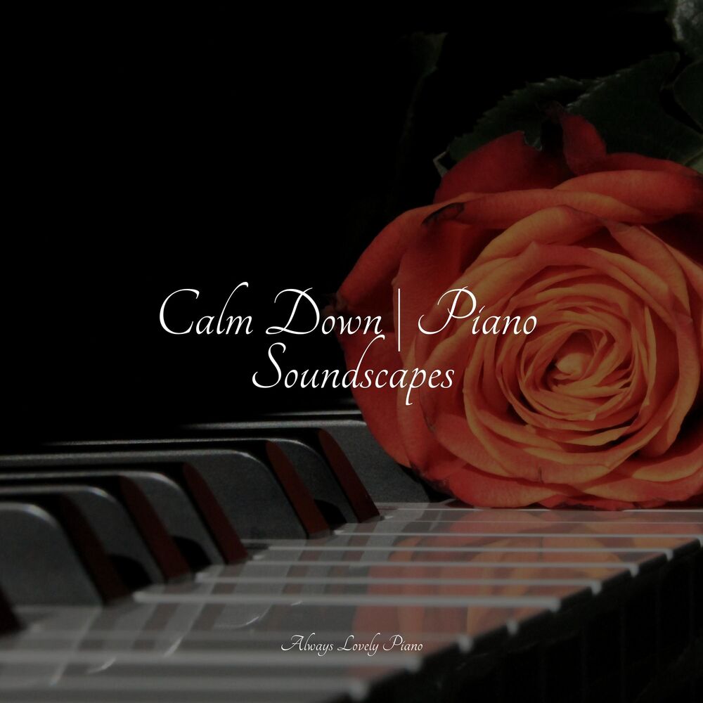 Picture of 50 Calming Classics