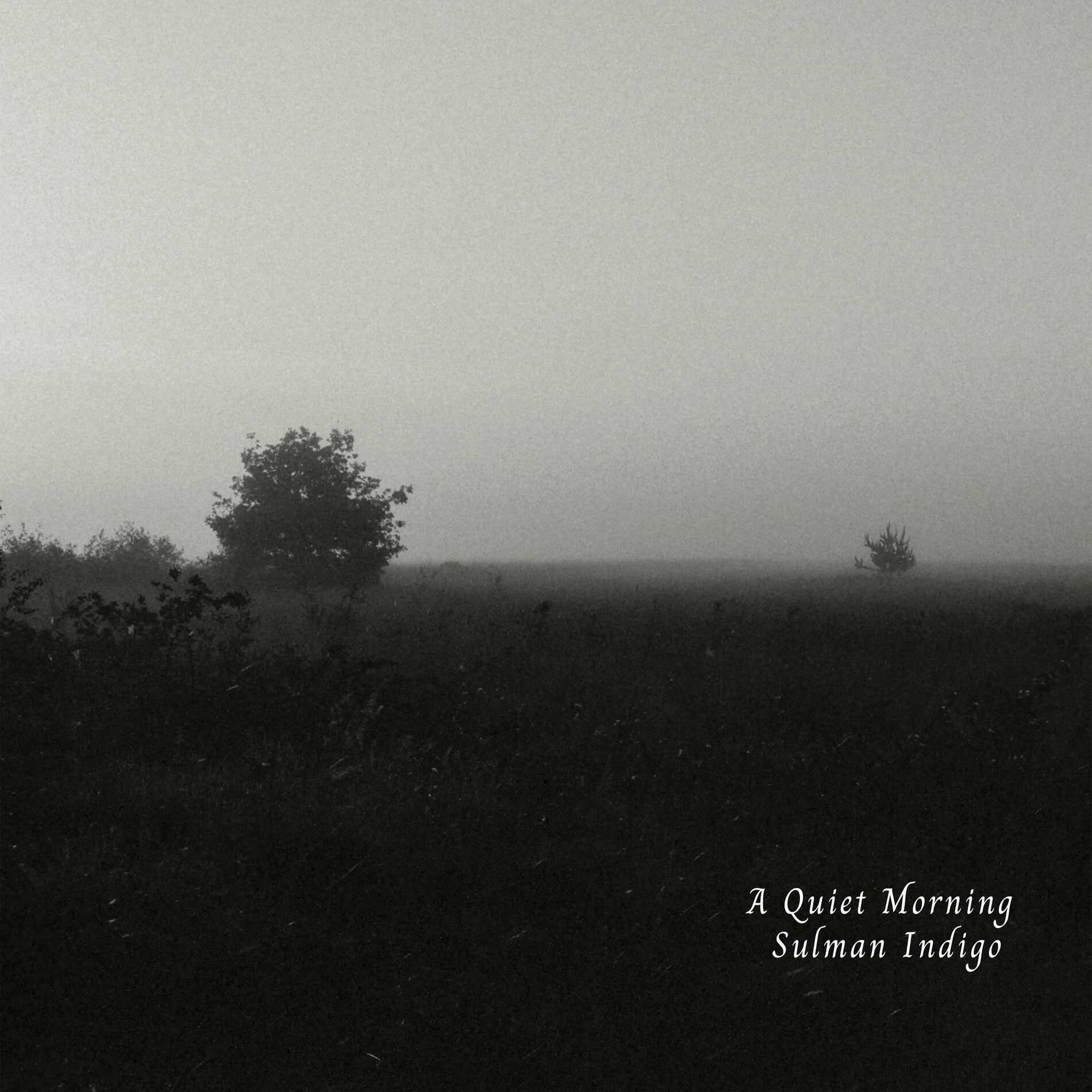 Album cover of A Quiet Morning