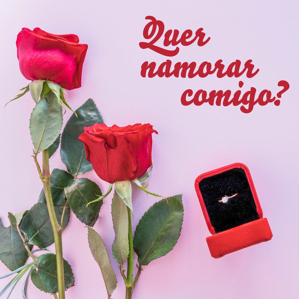 Album cover of quer namorar comigo?