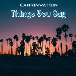 Cover of Things You Say