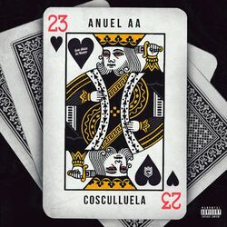 Cover of 23