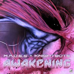 Cover of Awakening