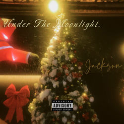 Cover of Christmas for U