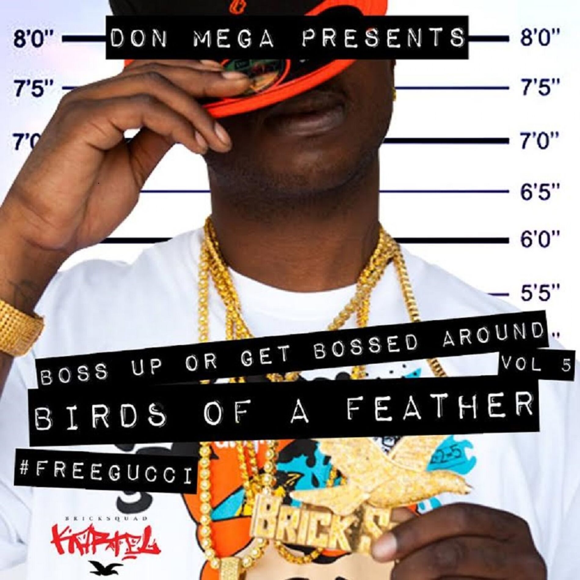 Album cover of Birds of a Feather