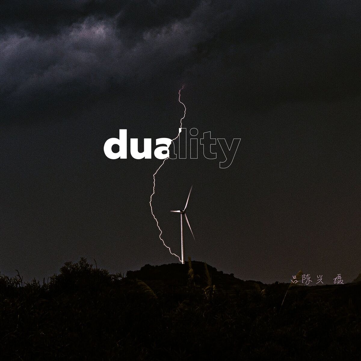 Album cover of Duality