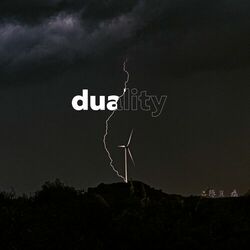 Cover of Duality