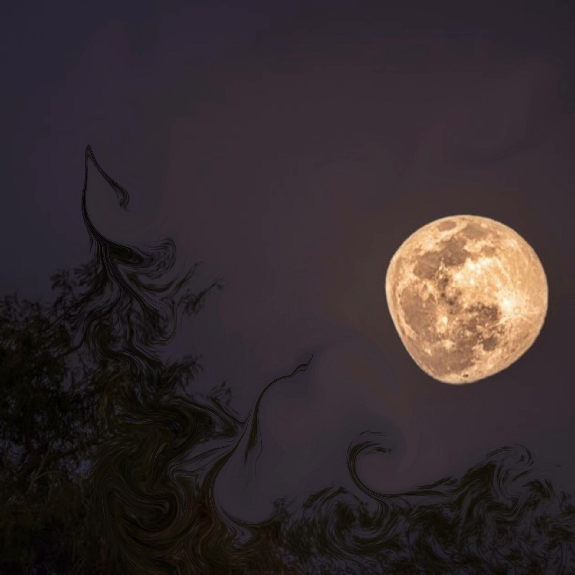 Album cover of Noche de luna llena