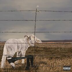 Cover of 18