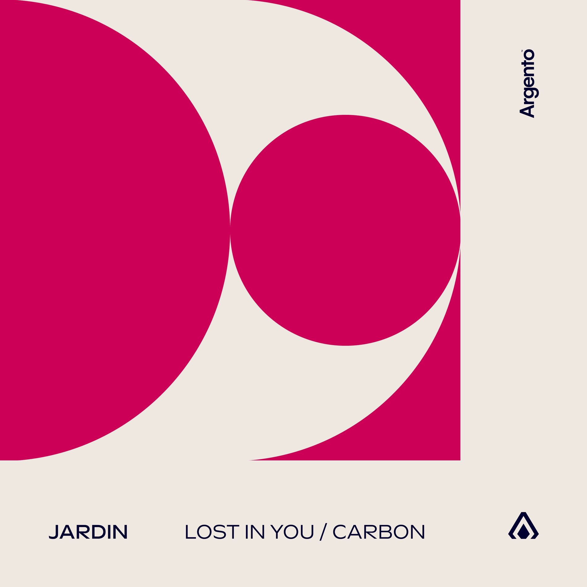 Album cover of Lost In You / Carbon