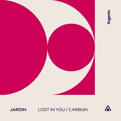 Cover of Lost In You / Carbon