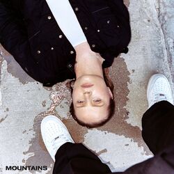 Cover of Mountains
