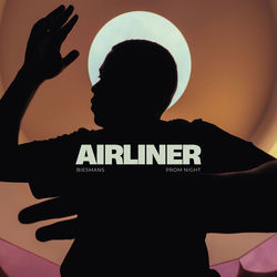 Airliner