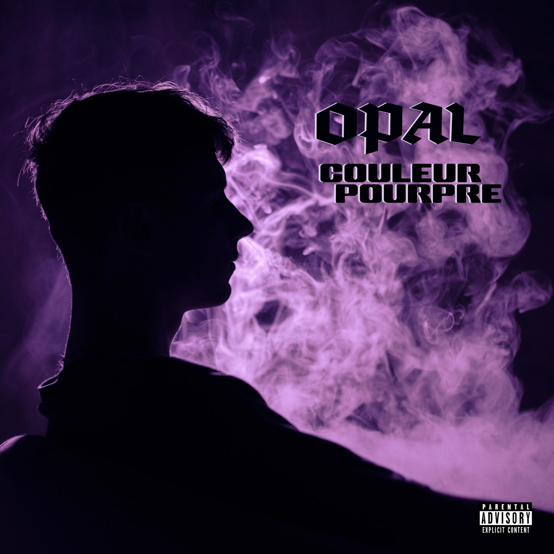 Album cover of Couleur Pourpre