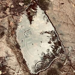 Cover of five