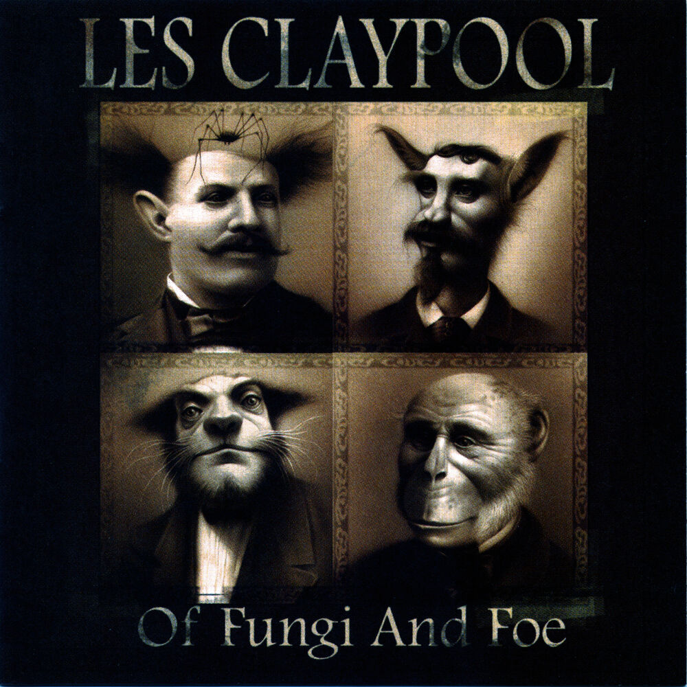 Picture of Of Fungi And Foe