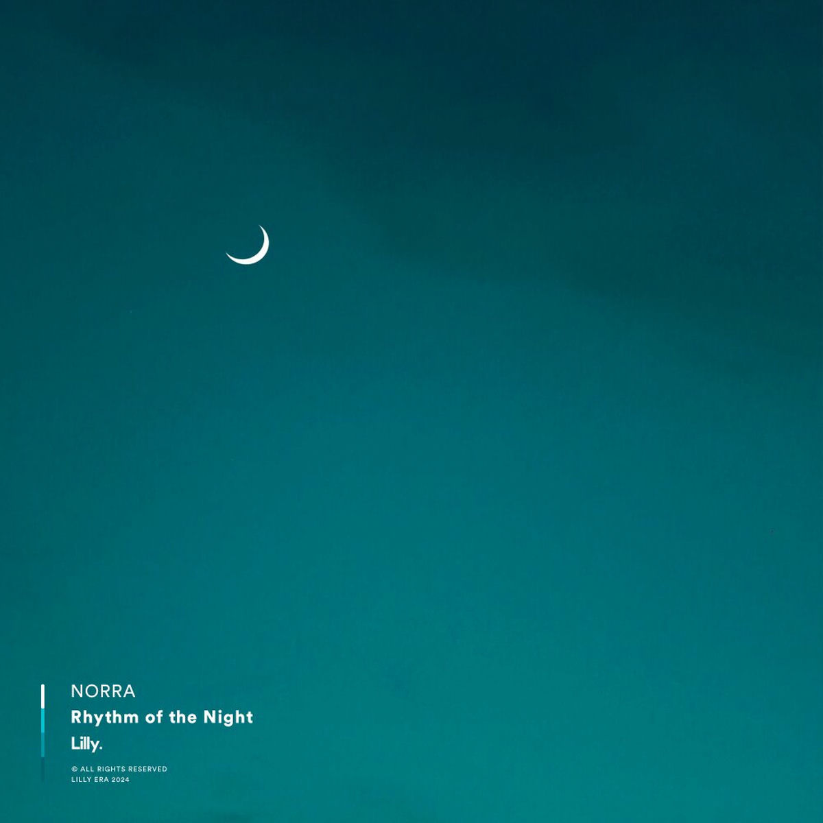 Album cover of Rhythm of the Night