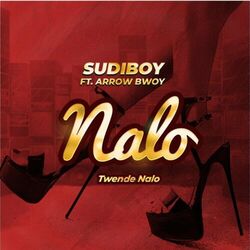Cover of Nalo/Twendenalo