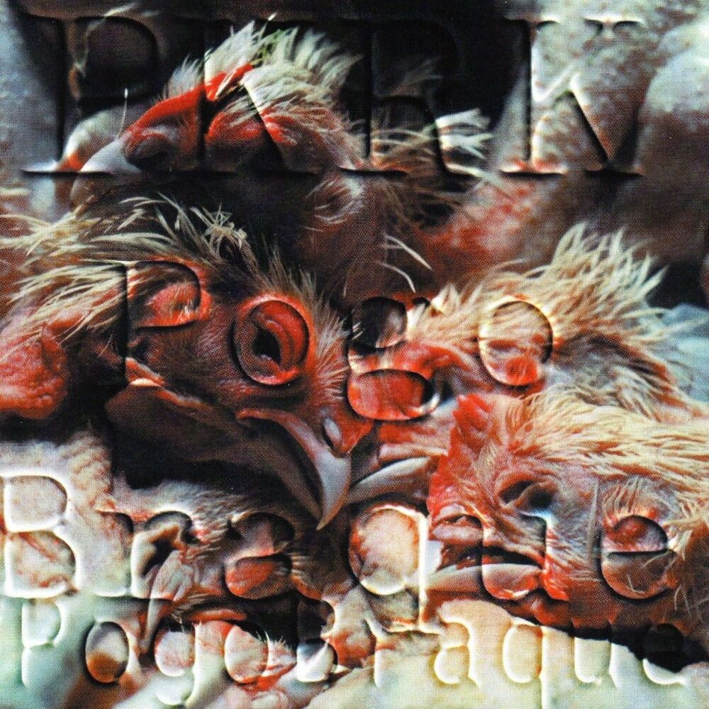 Picture of Pogo Braque