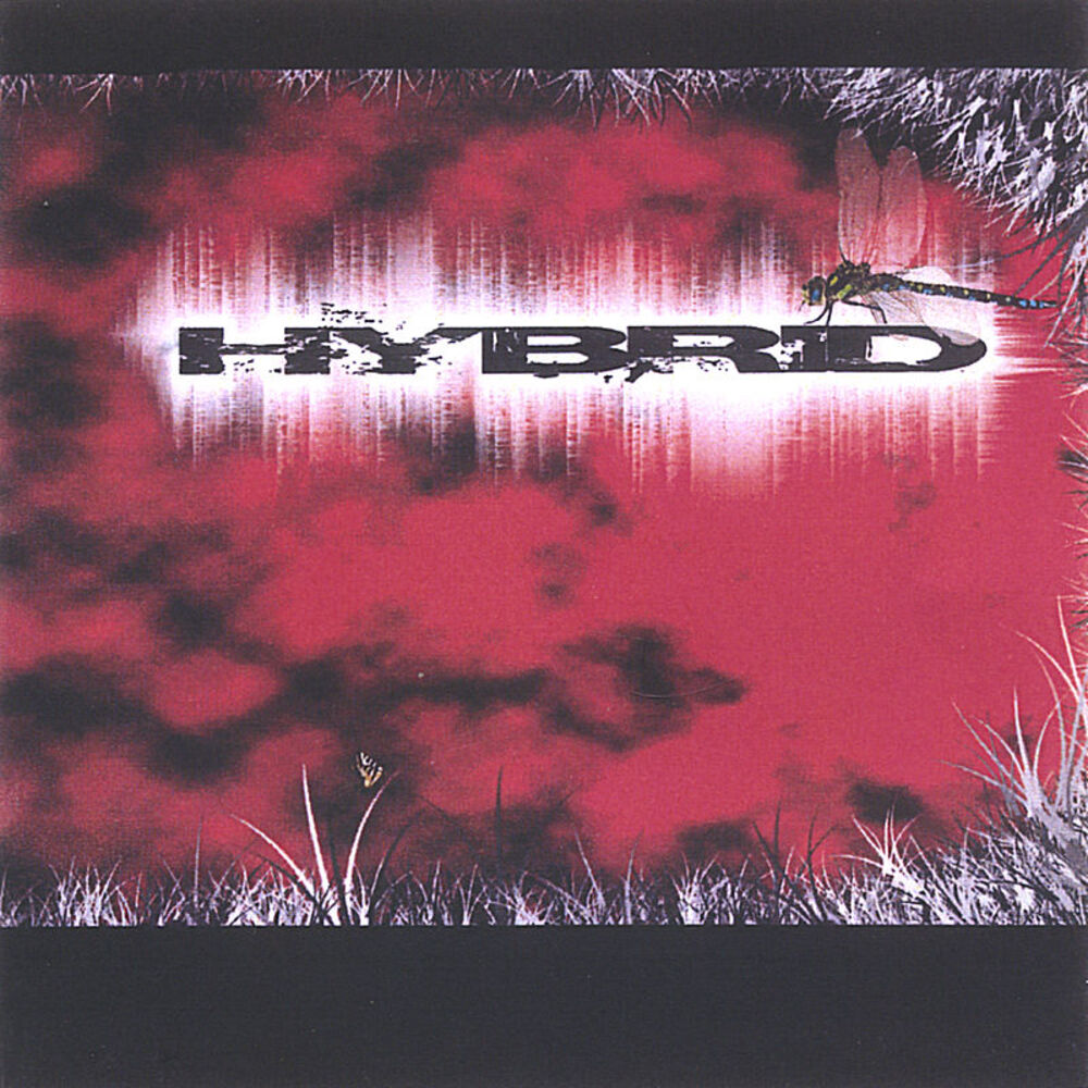 Picture of Hybrid
