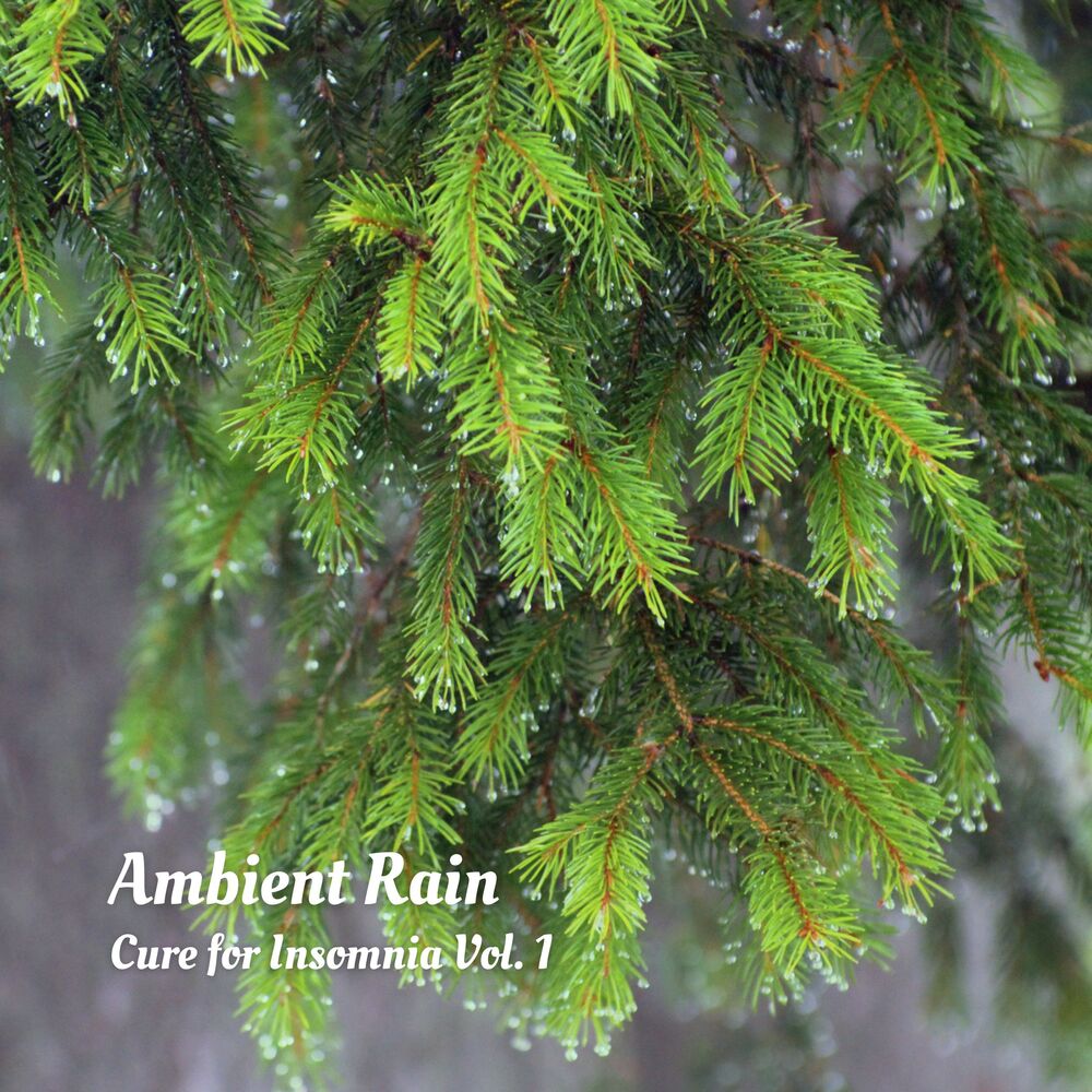 Picture of Ambient Rain: Cure for Insomnia Vol. 1
