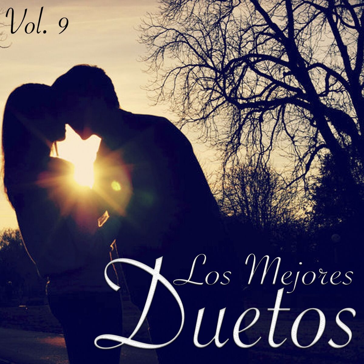 Album cover of Lo Mejor de los Duetos, Vol.9
