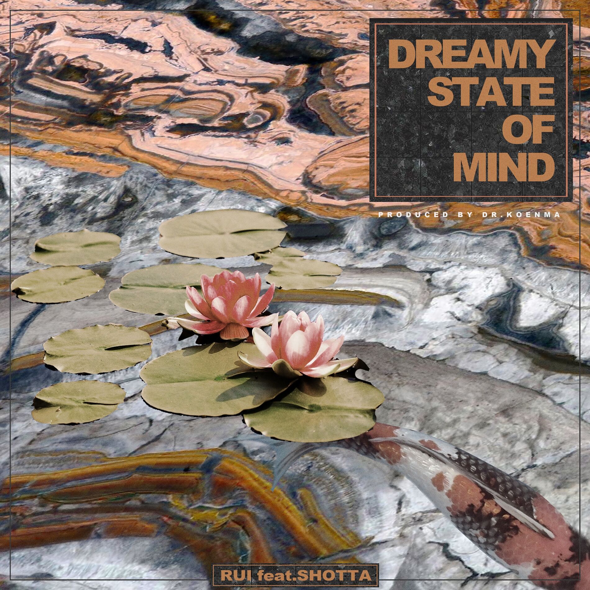 Album cover of Dreamy State of Mind (feat. SHOTTA)