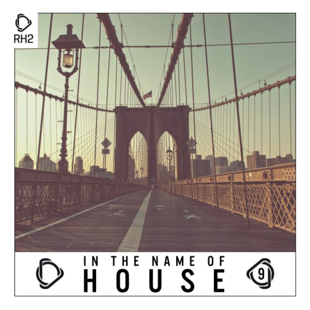 Album cover of In the Name of House, Vol. 9