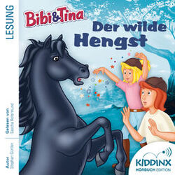 Cover of Hörbuch: Der wilde Hengst (Ungekürzt)
