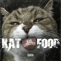 Cover of Kat Food