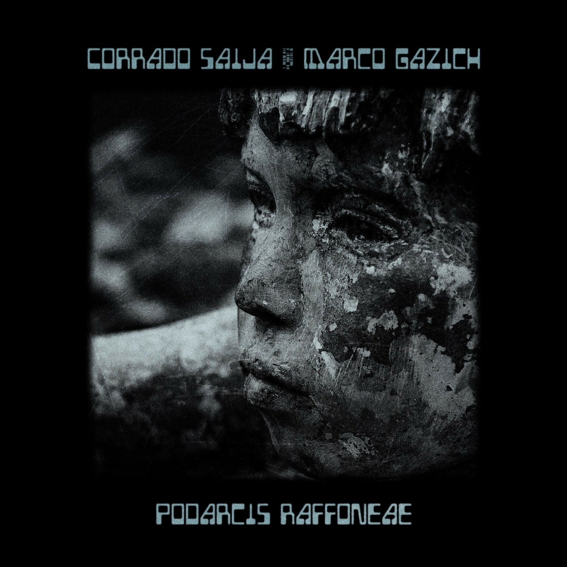 Album cover of Podarcis Raffoneae