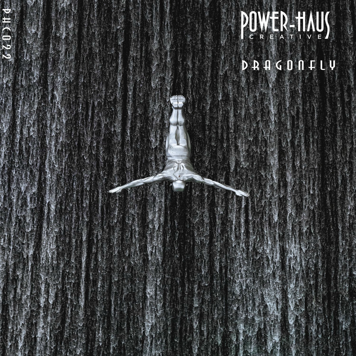 Album cover of Dragonfly
