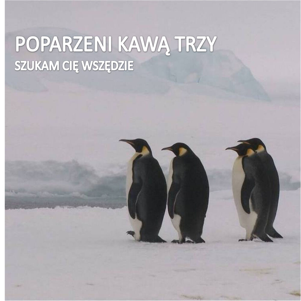 Picture of Szukam Cię Wszędzie