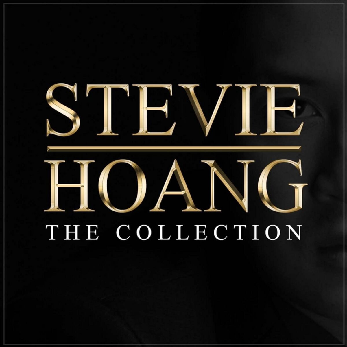 Album cover of Stevie Hoang: The Collection