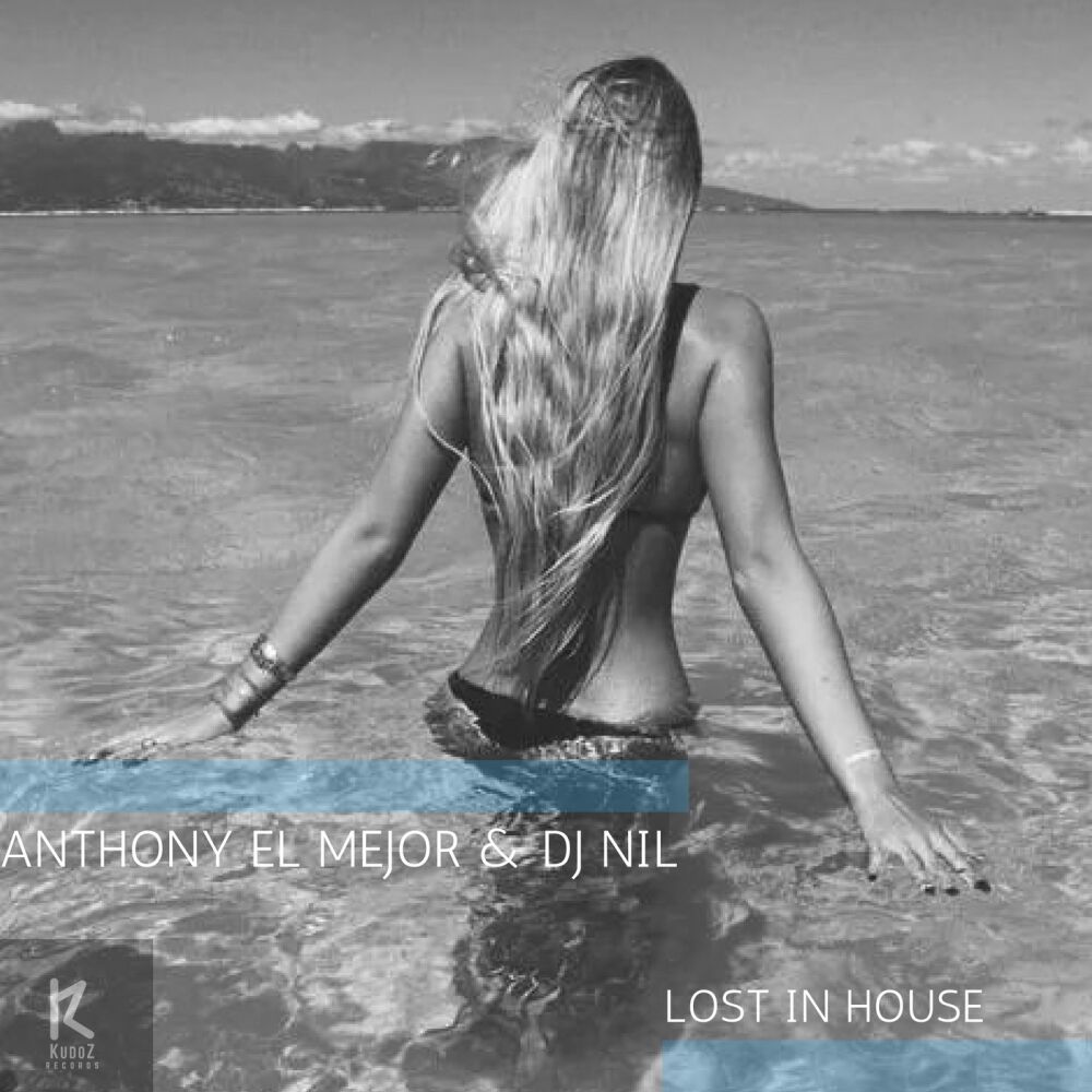 Picture of Lost In House