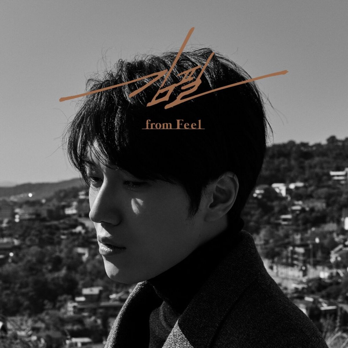 Album cover of from Feel