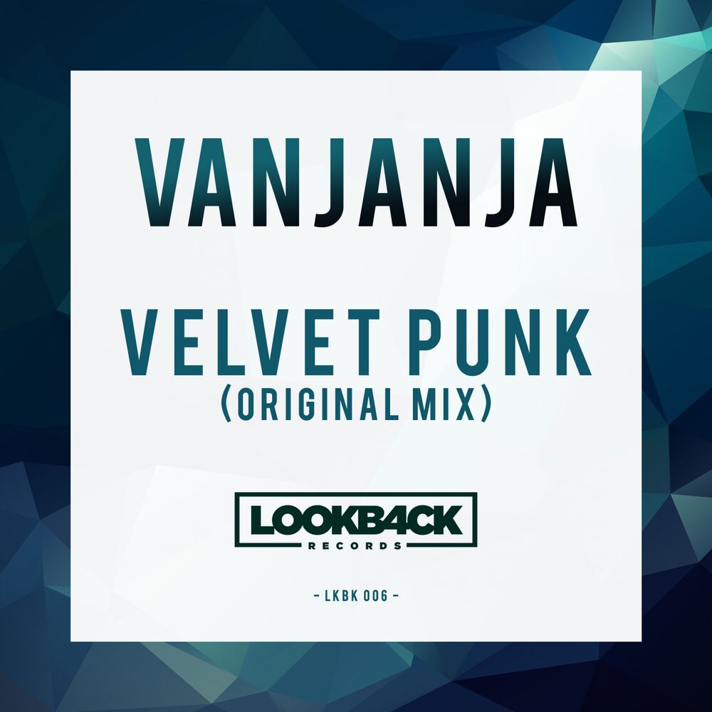 Picture of Velvet Punk