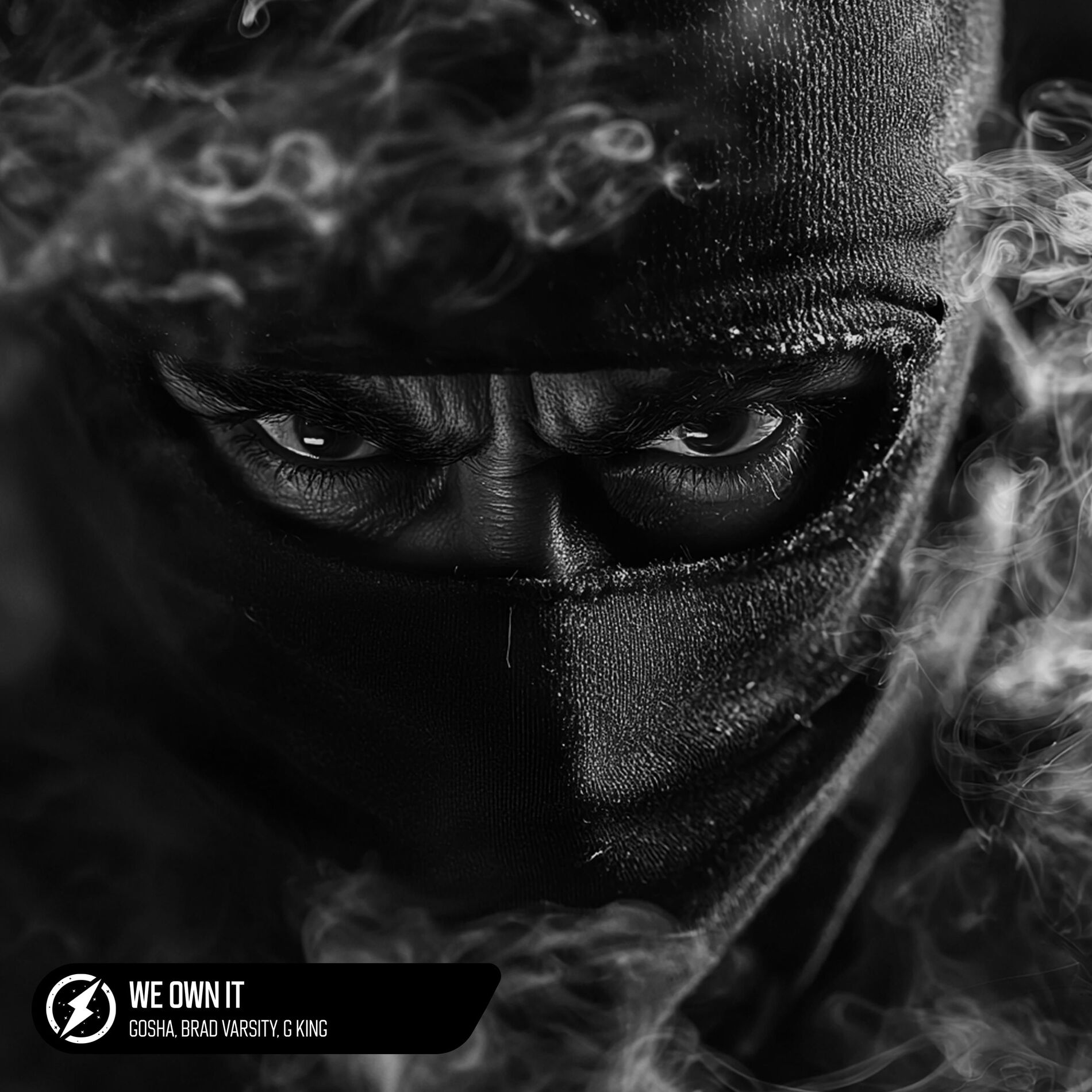 Album cover of We Own It