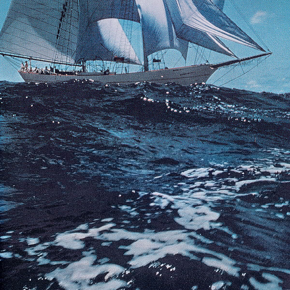 Album cover of Blue Pedro