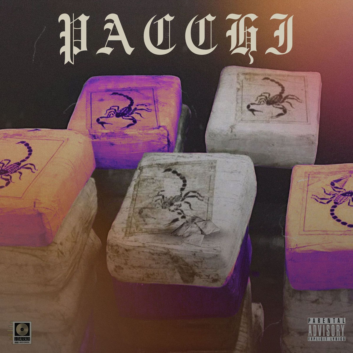 Cuete - Northern Warriors | Deezer