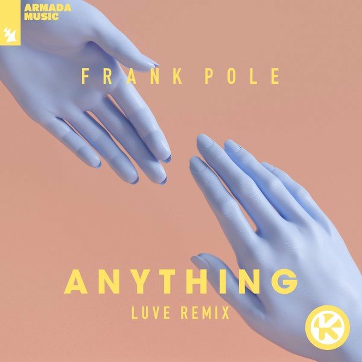 Album cover of Anything (LUVE Remix)