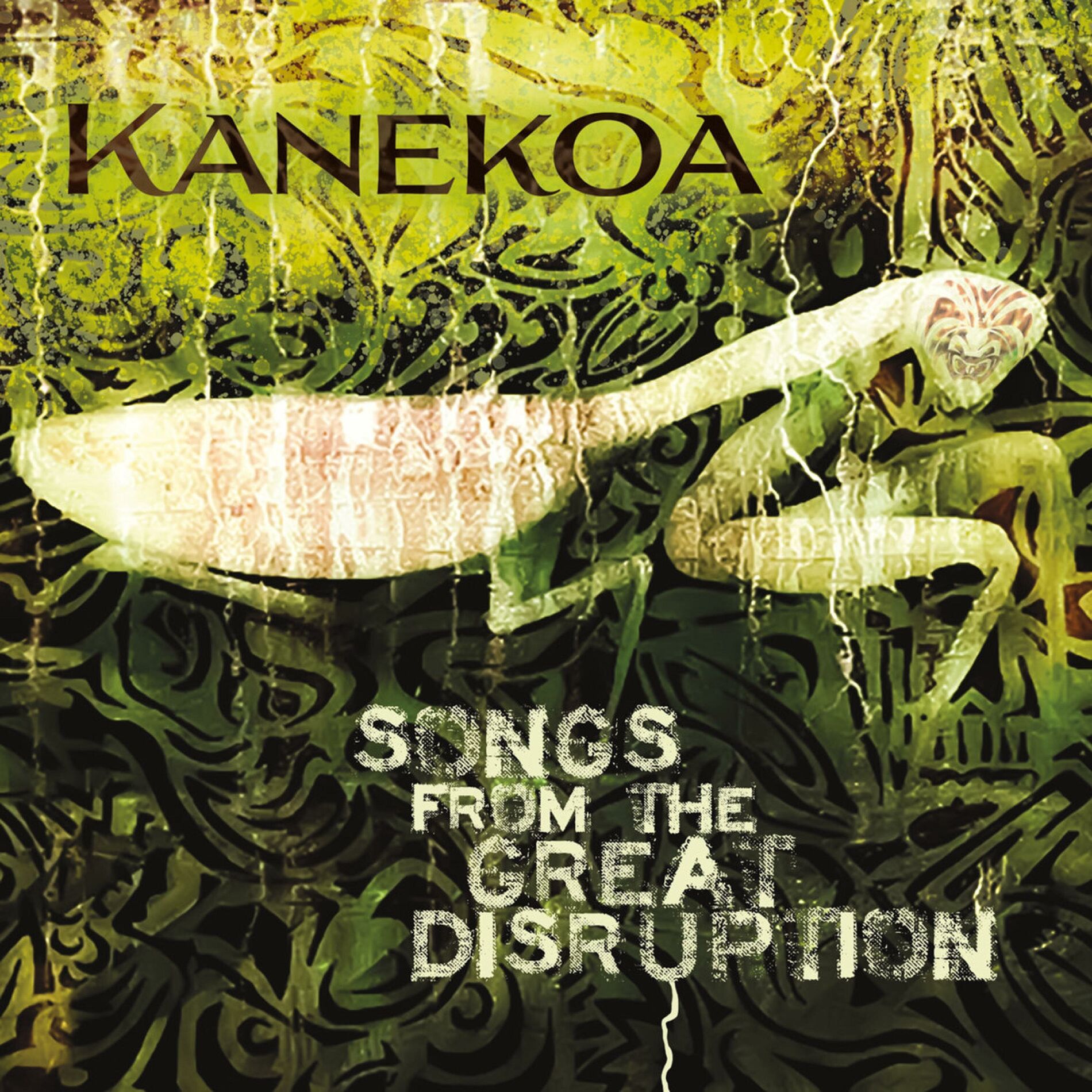 Album cover of Songs From The Great Disruption