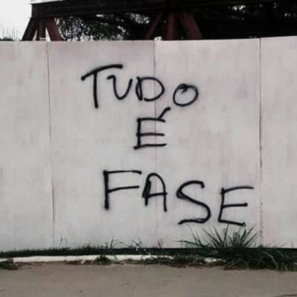 Picture of SEI QUE TUDO É FASE