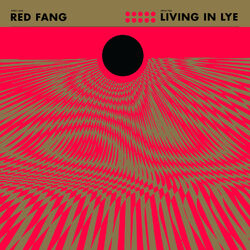Cover of Living in Lye - Single